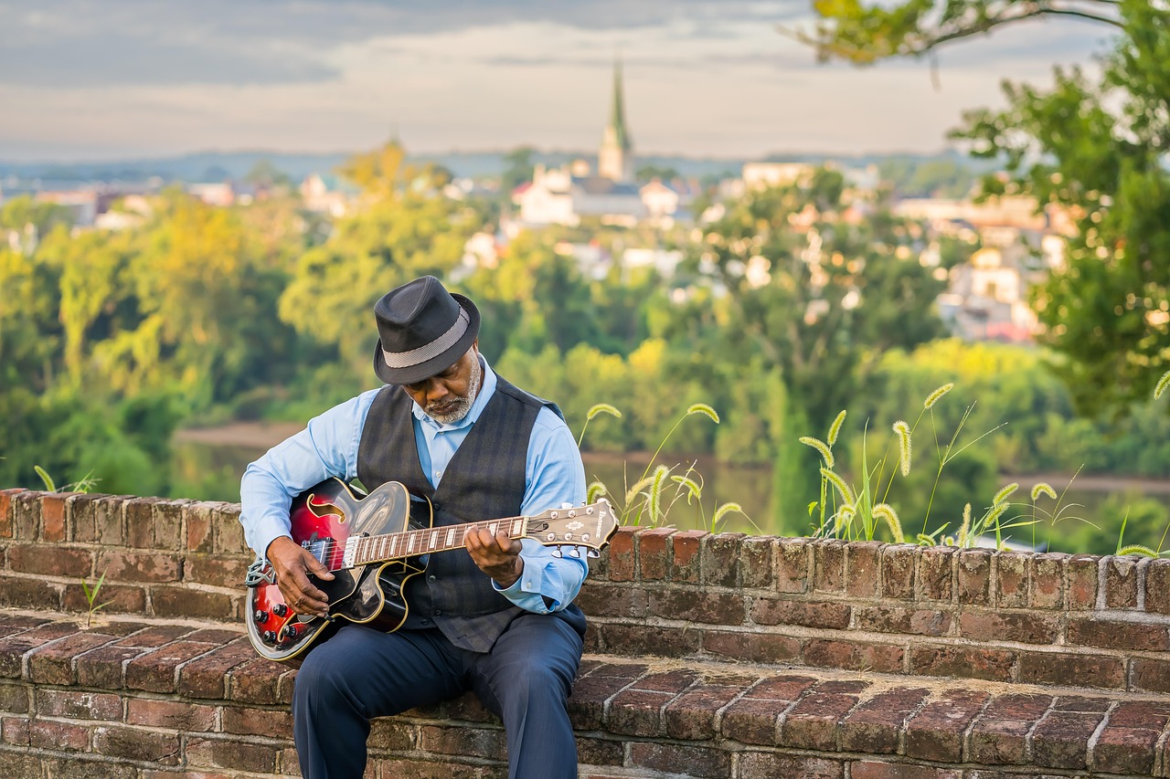 man, music, guitar, senior, countryside